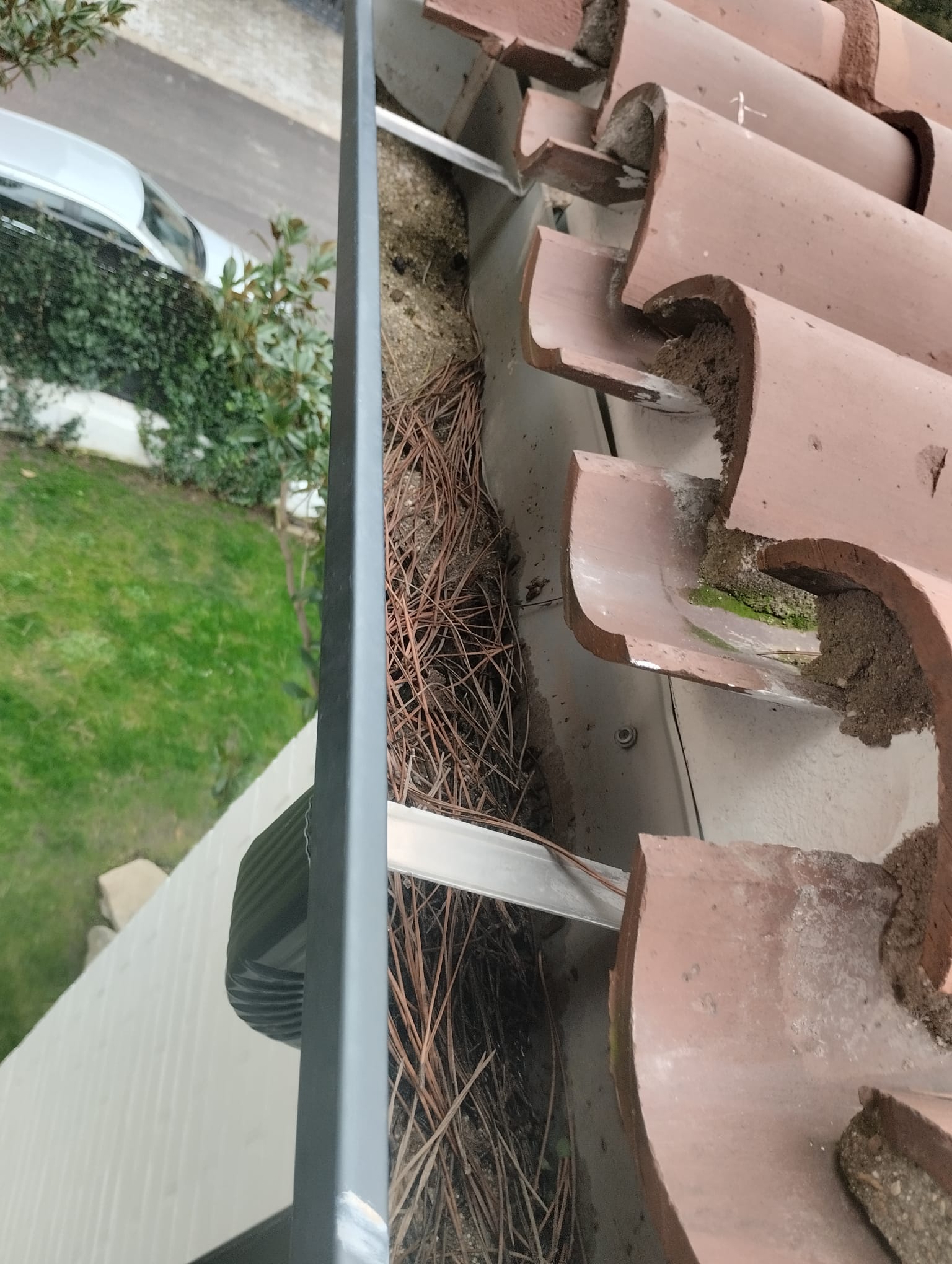 canalones económicos