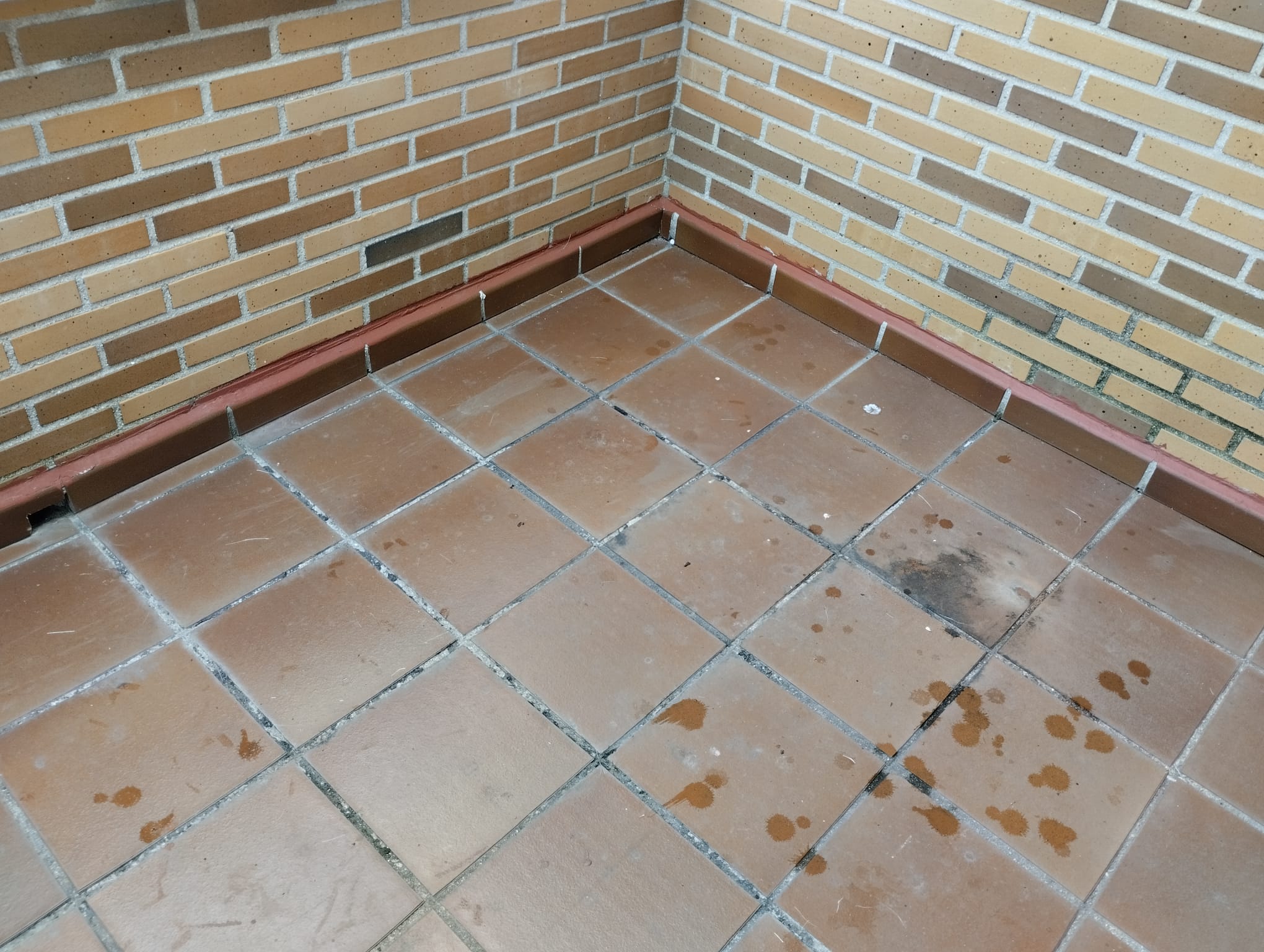 canalones económicos