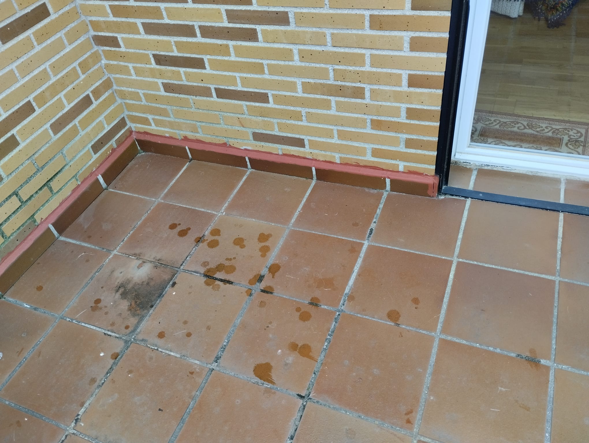 canalones económicos