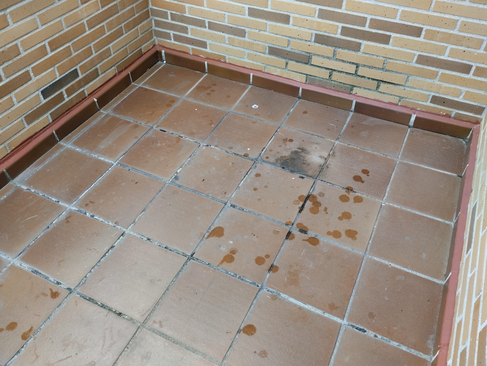 canalones económicos