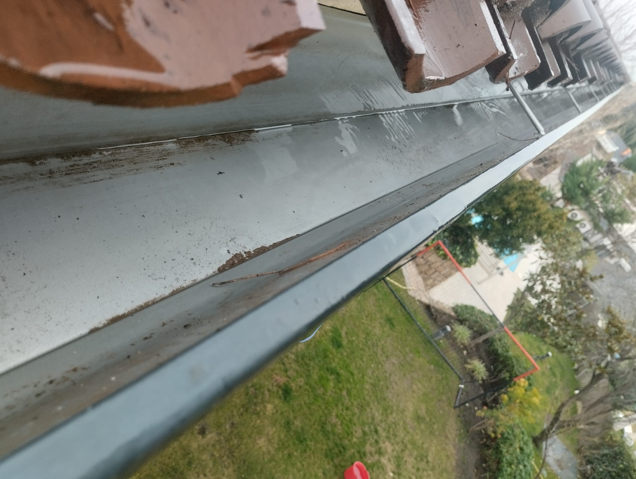 canalones económicos